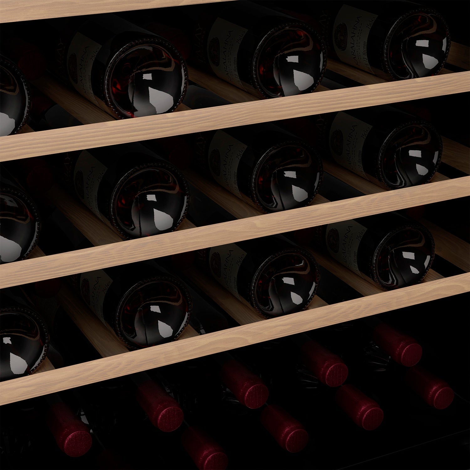 Weinkühlschrank 51 Flaschen CAVCE51