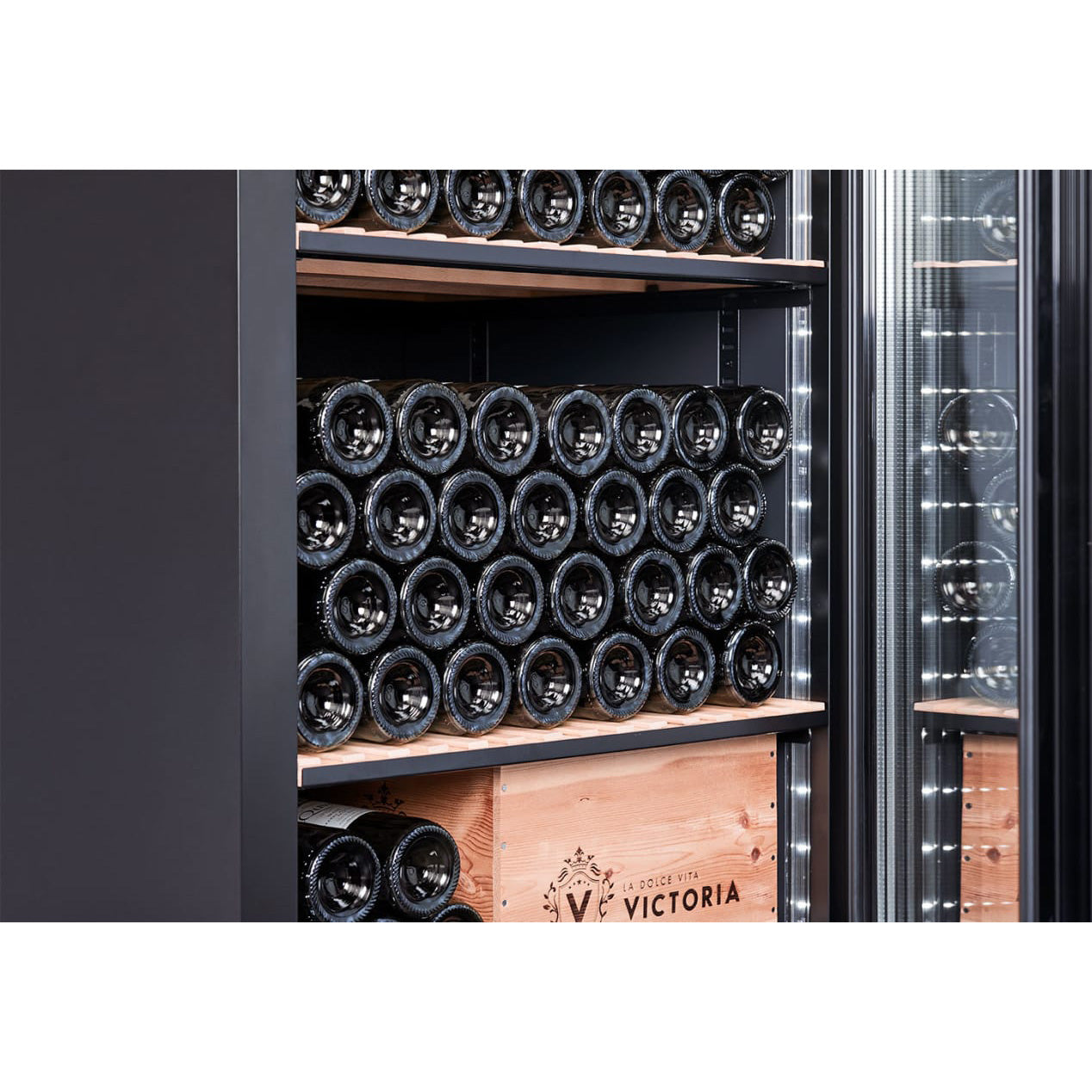 Wine climate cabinet 273 bottles mQuvée Velvet 220 Glass